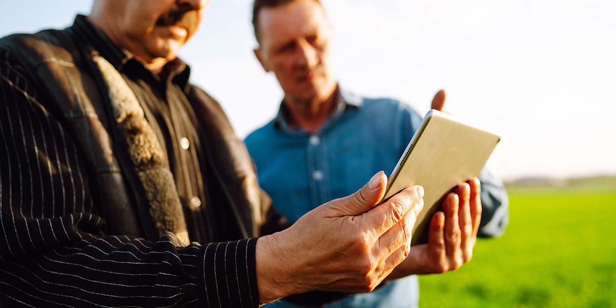 2 Männer auf einer Wiese schauen auf ein Tablet